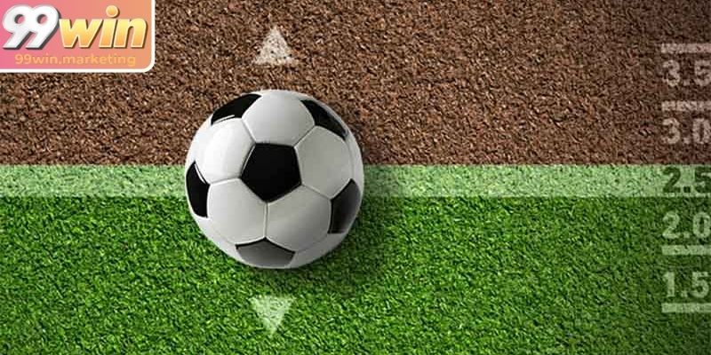 Đôi nét về loại hình độc đáo kèo handicap 99Win